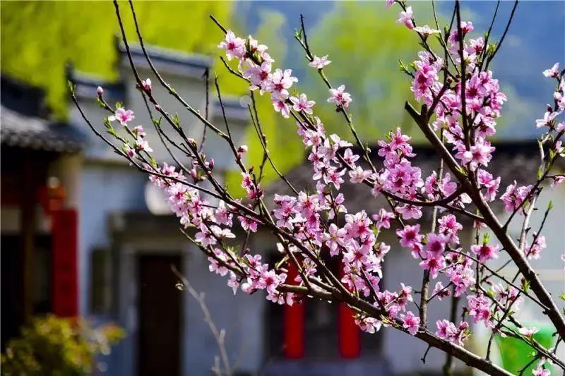 不朽情缘-官方网站