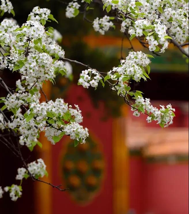 不朽情缘-官方网站