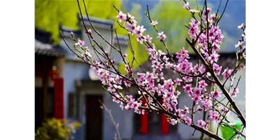 阳春三月，不朽情缘精机一大波展会即将来袭，您筹备好了吗？